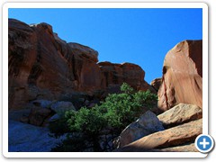 View on trail to Landscape Arch_1814