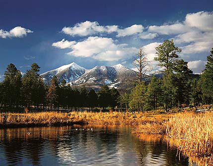Photo of Flagstaff Arizona's city pond and the San Francisco Peaks.  This is a photo of the highest mountains in Arizona at 12,633 feet. The San Francisco Mountains are the most prominent volcano in the San Francisco volcanic field around the Flagstaff Arizona area. Photo © copyright by Josiah Davidson, all rights reserved.  To buy a print or purchase use rights, go to http://www.jdsp.com/